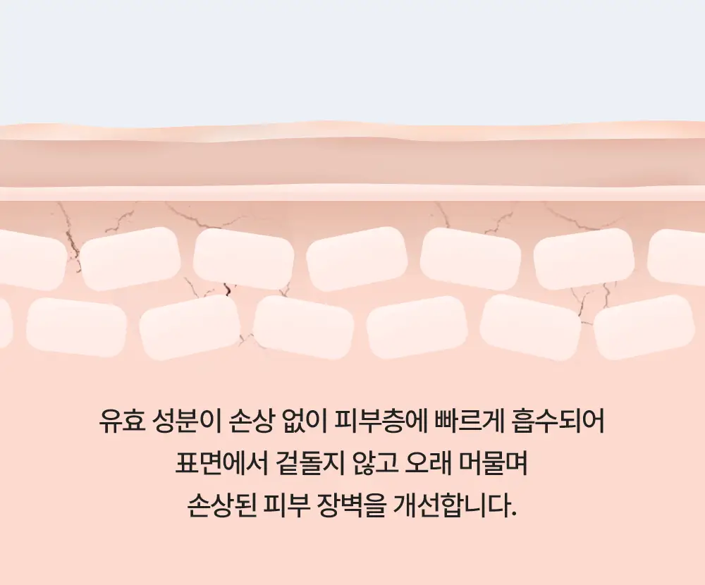 [진짜장벽회복크림] 리얼베리어 익스트림 크림 70ml 기획 (+30ml) 상세페이지 26